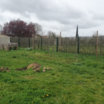 brigitte.ghidionesco