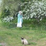 lavieetlasantenaturelles