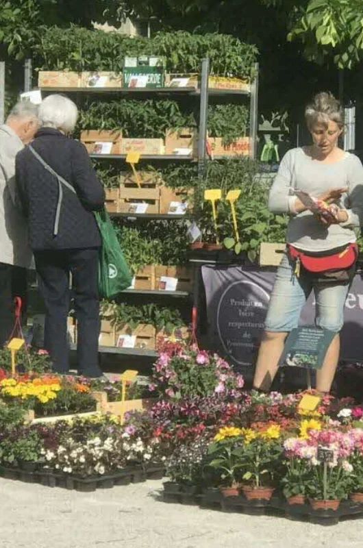 Marché aux fleurs et plantes de Grenoble