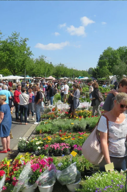 Nature en Fête à Sainte-Foy-lès-Lyon