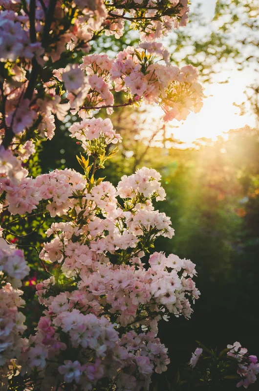 Rendez-vous aux Jardins