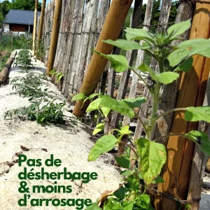 Pack ollas 1,5 L et paillage en chanvre