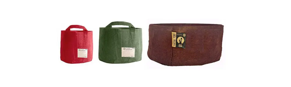Diverses tailles de Root Pouch