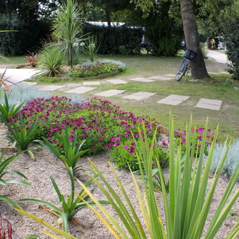 Utilisation du paillage de miscanthus
