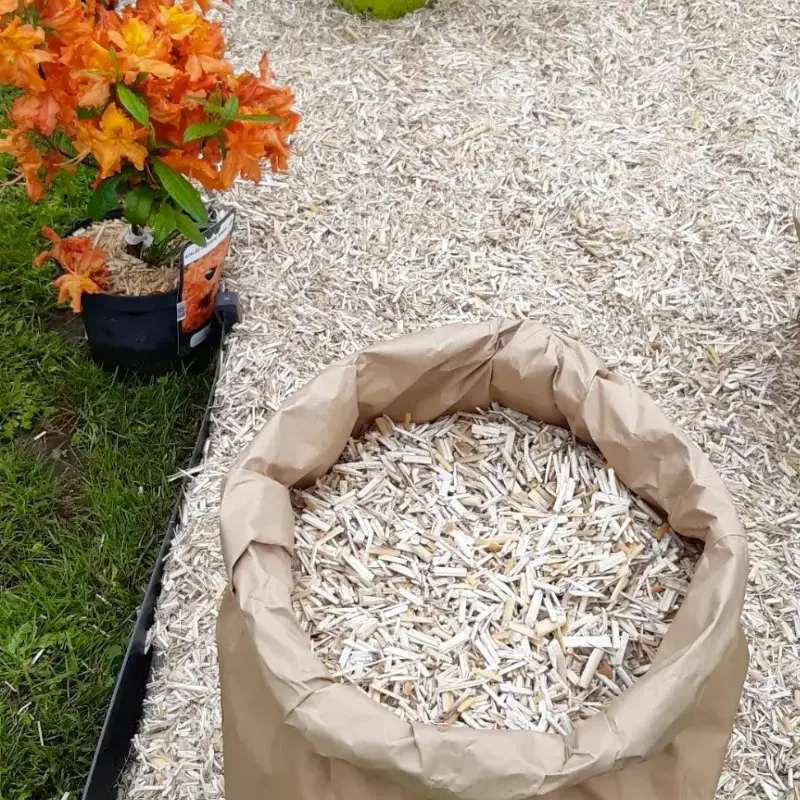 Paillage de miscanthus AELIS