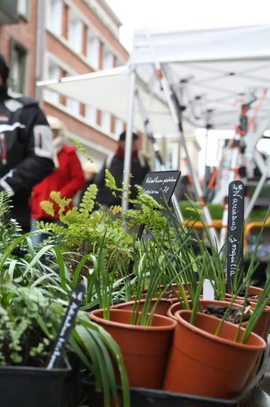 Foire aux arbres et aux plantes Lisieux