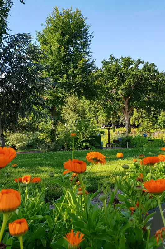 Marché aux Plantes du Jardin Camifolia