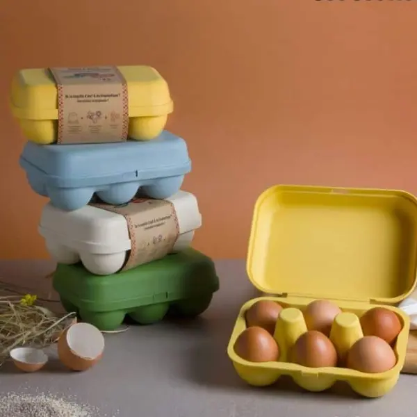 Boîtes à oeufs ré-utilisables