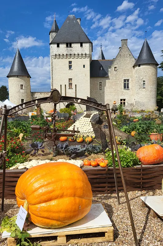 Fête de la Citrouille