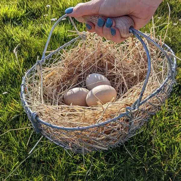 Panier de récoltes