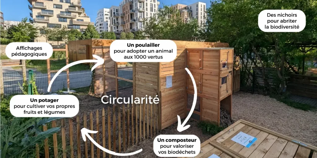 Installation de poulailler en pied d'immeuble