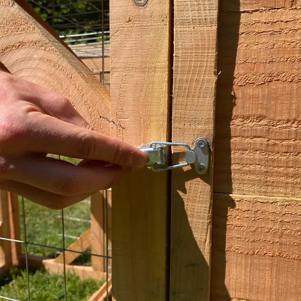 Attaches de la volière pour poulailler