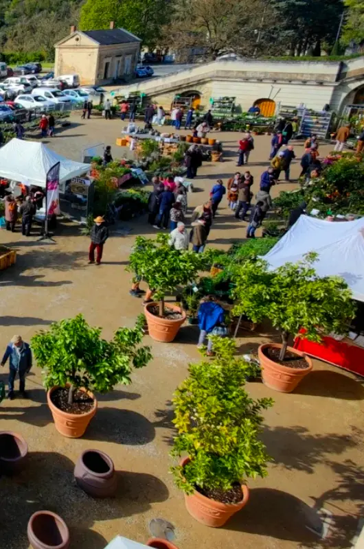 Marché aux Plantes de Thouars