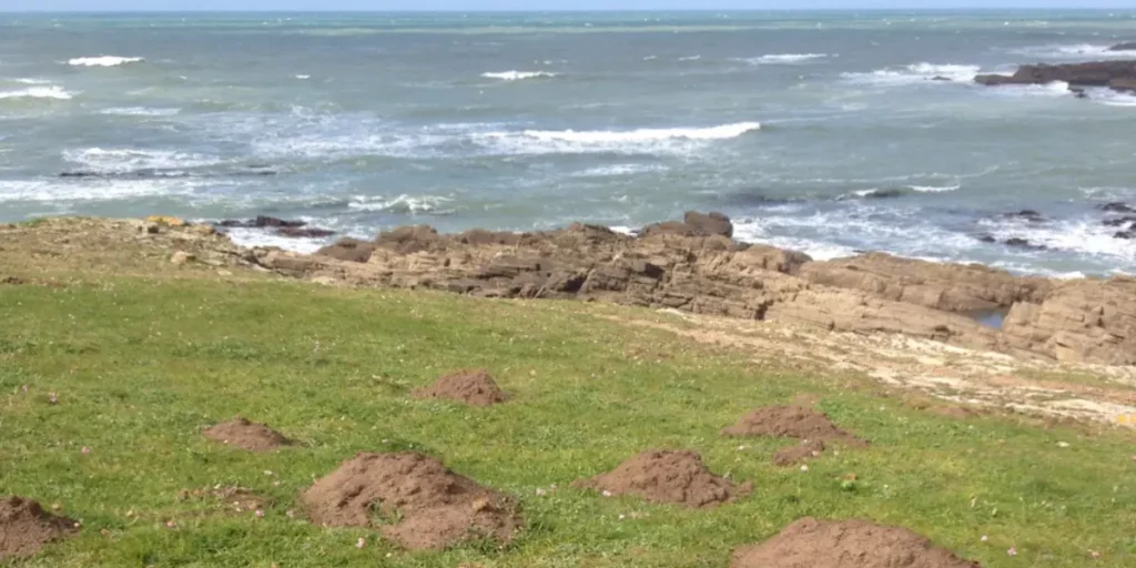 Intervention de Céline Wambst en Normandie