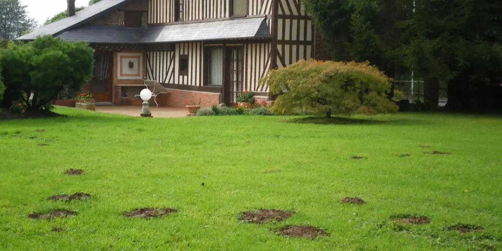 Intervention de Céline Wambst en Normandie