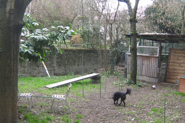 Jardin prêt