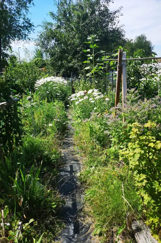 Les potagers en permaculture d'Autonomie Potagère