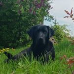 malickstephanie88300