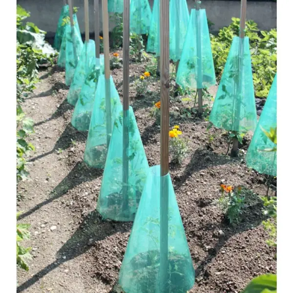 Cônes de forçage potager
