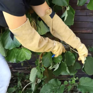 Manchettes de protection avant-bras pour jardiner