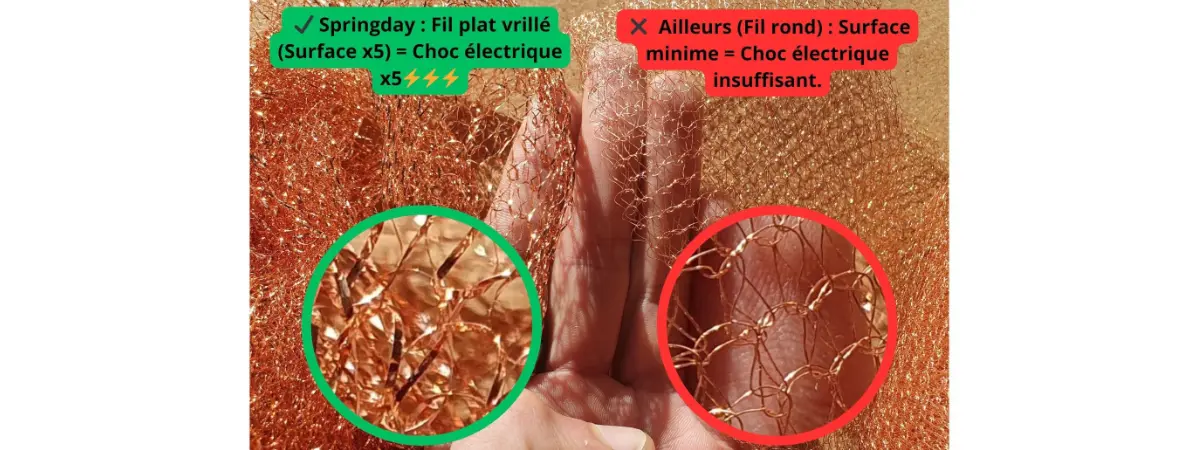 Comparaison entre deux types de mailles de filet anti-limaces
