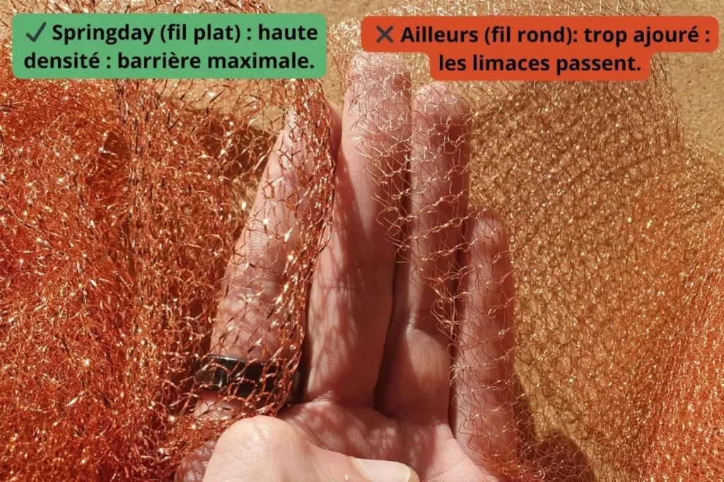 Comparaison entre deux types de mailles de filet anti-limaces