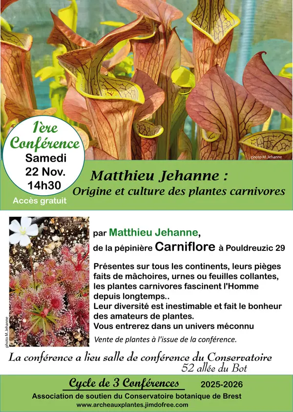 Origine et culture des plantes carnivores