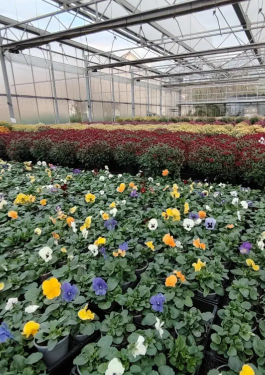 Les productions de Caspar Horticulture