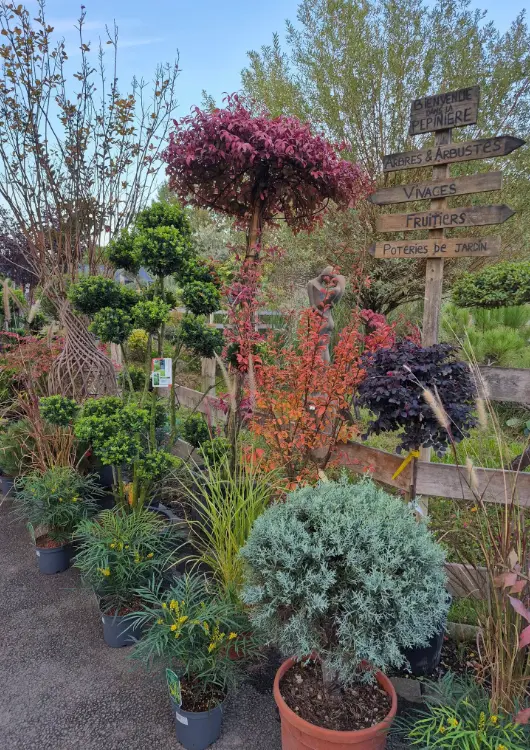 L'espace p&eacute;pini&egrave;re du Jardin de Chauffin