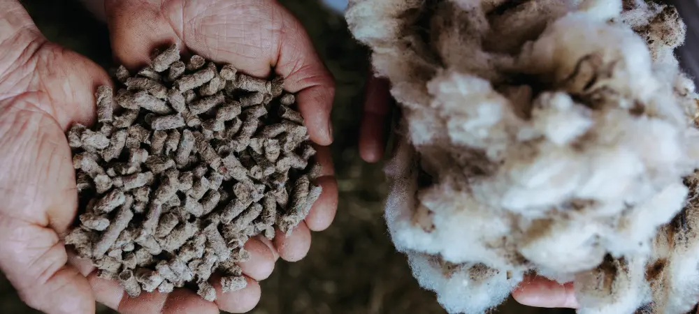 Engrais &agrave; base de laine Fertilaine