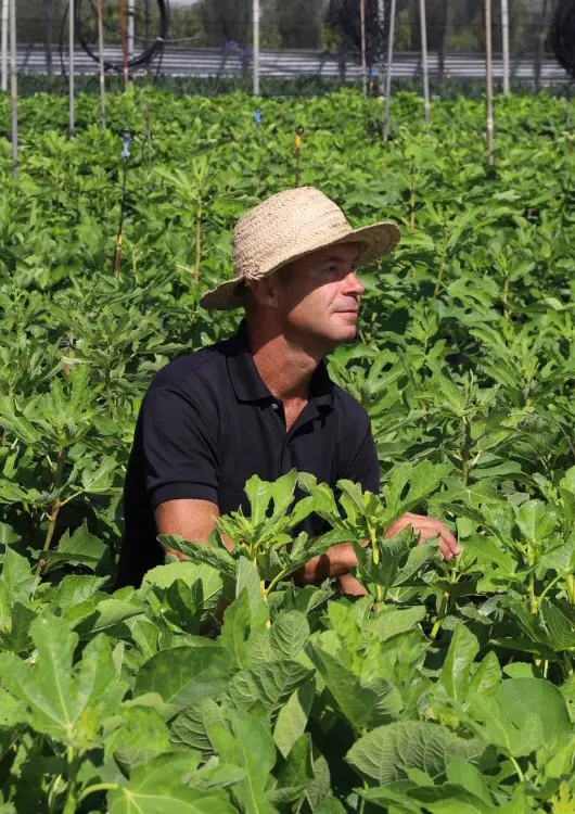 Les Pépinières Figoli