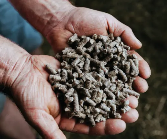 Granul&eacute;s engrais Fertilaine