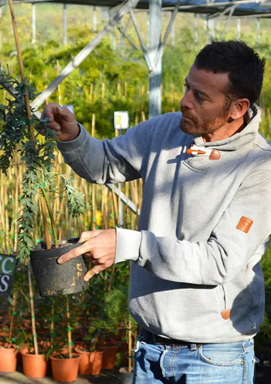 Julien Cavatore des P&eacute;pini&egrave;res Cavatore