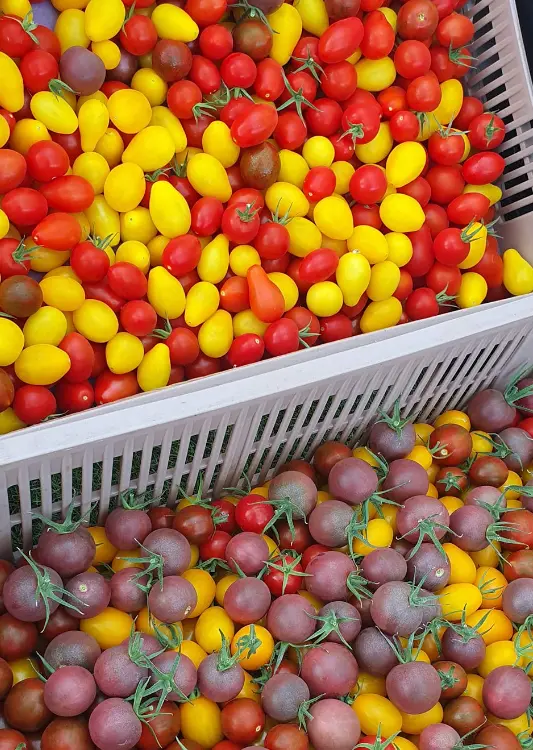 Les fruits et l&eacute;gumes de Jardins Delacour