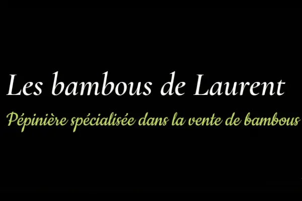 Logo Les Bambous de Laurent