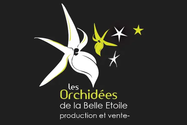 Logo Les Orchidées de la Belle Étoile