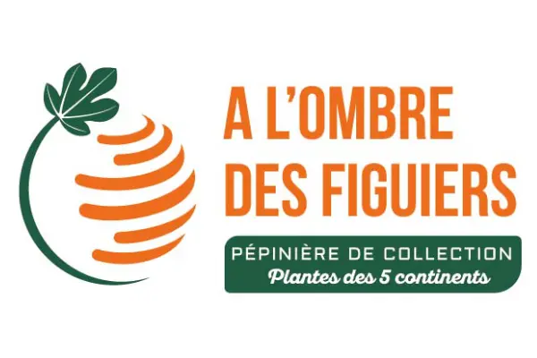 Logo Pépinière A l'ombre des figuiers