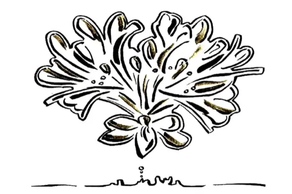 Logo de la Pépinière de l'Île de Bréhat