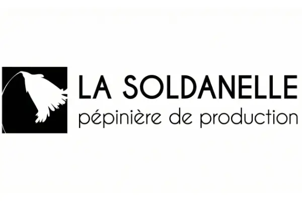 Logo Pépinière La Soldanelle