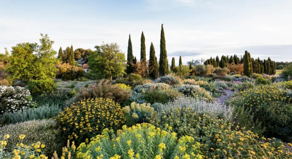 P&eacute;pini&egrave;re Filippi