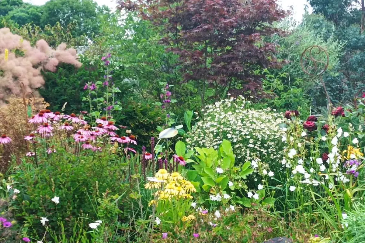 La pépinière Ô Flor et Sens