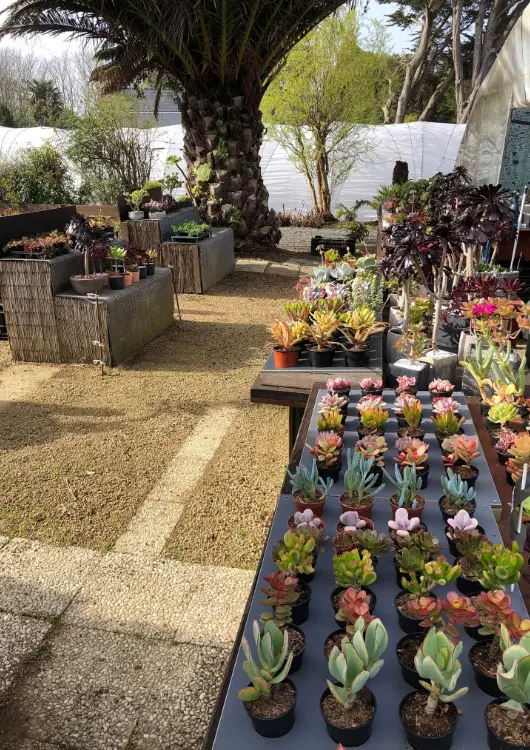 Les productions de la P&eacute;pini&egrave;re de l'&Icirc;le de Br&eacute;hat