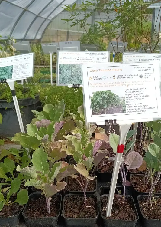 Les productions de Saveurs Vivaces