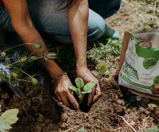 Utiliser Fertilaine au jardin