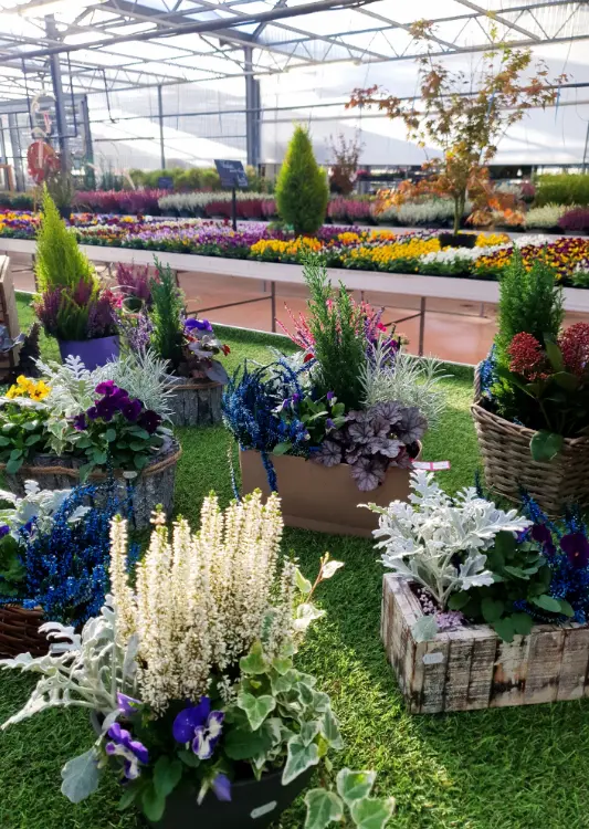 Les v&eacute;g&eacute;taux de Jardins Delacour