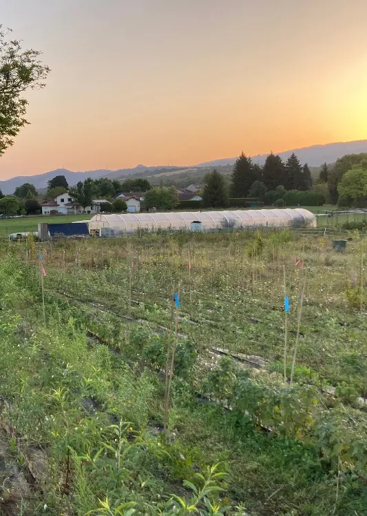 P&eacute;pini&egrave;re Pomaria