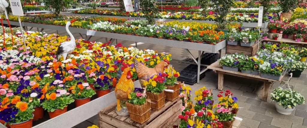 Les fleurs de saison de la Jardinerie des 3 fronti&egrave;res