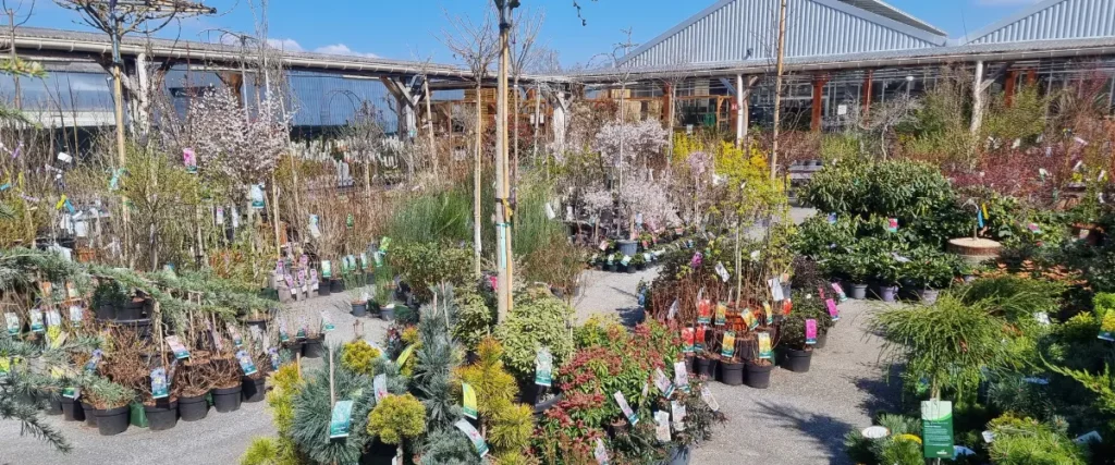 La Jardinerie des 3 fronti&egrave;res