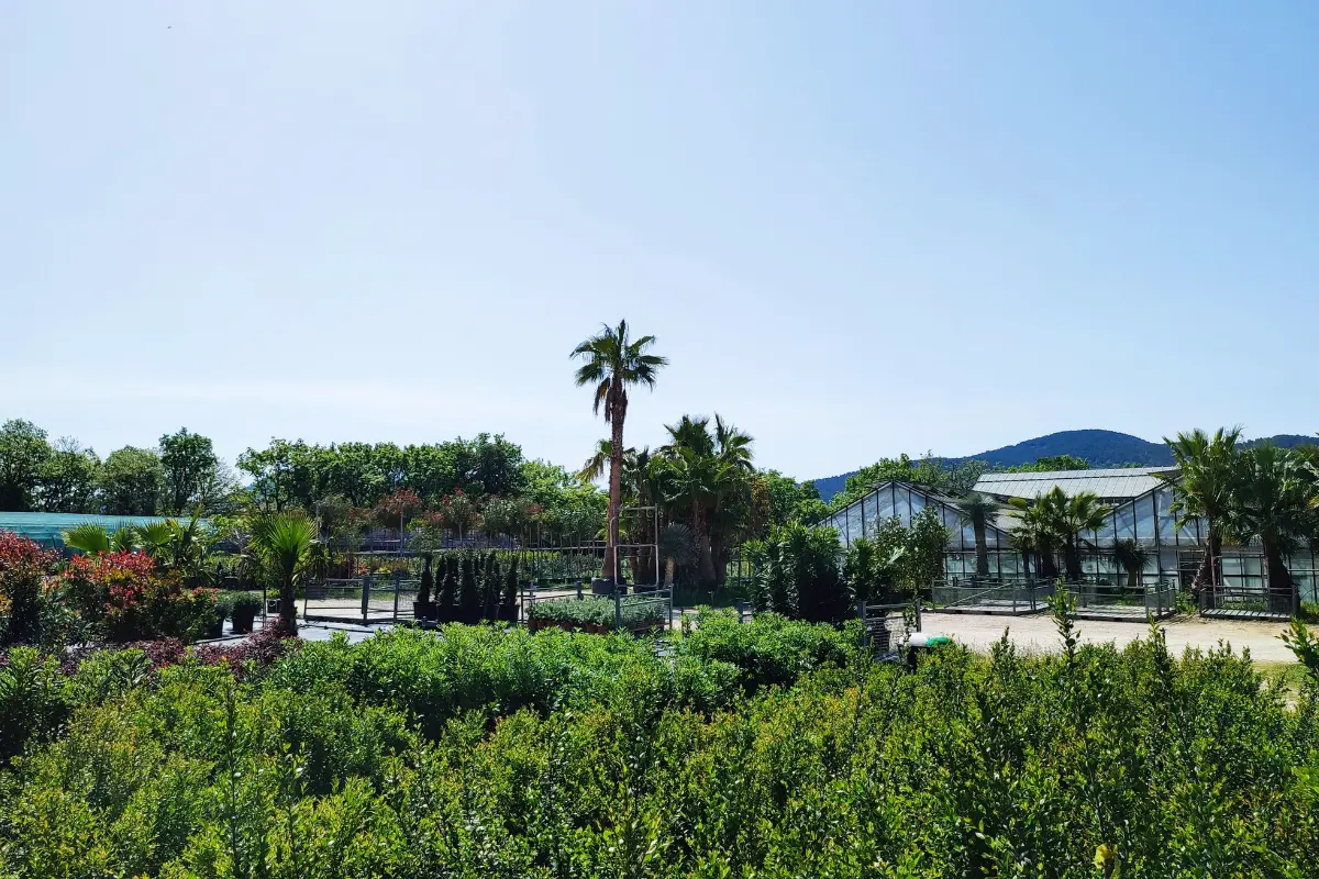 Pépinières de Montgolfier