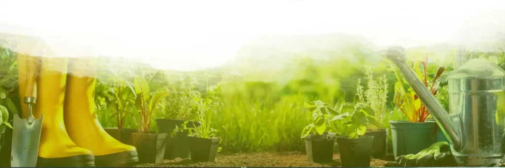 Cultiver son potager avec les &eacute;quipements Nortene